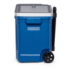 ⭐⭐⭐⭐⭐ 25 Litre Güvenlikli Kan Nakil Çantası - TK2856