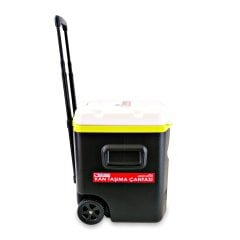 ⭐⭐⭐⭐⭐ 55 LT GÜVENLİKLİ KAN ÖRNEK TAŞIMA ÇANTASI - TK5066